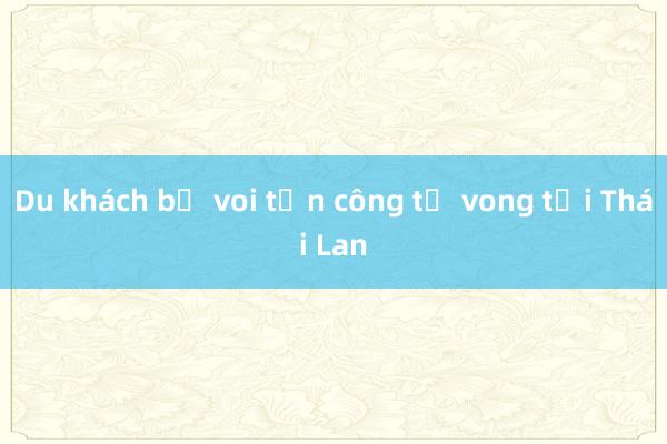 Du khách bị voi tấn công tử vong tại Thái Lan