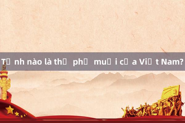 Tỉnh nào là thủ phủ muối của Việt Nam?