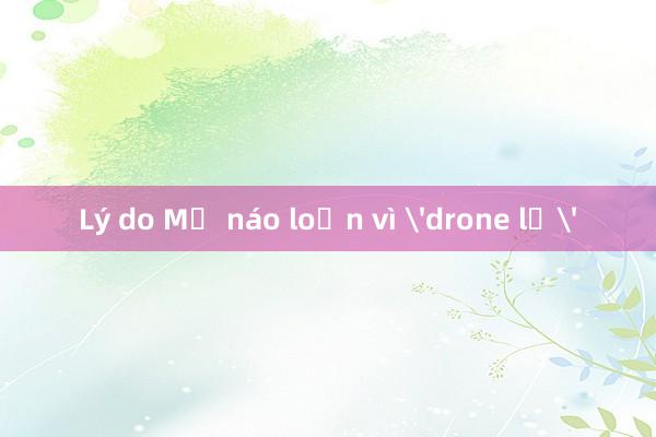 Lý do Mỹ náo loạn vì 'drone lạ'