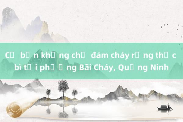 Cơ bản khống chế đám cháy rừng thực bì tại phường Bãi Cháy， Quảng Ninh