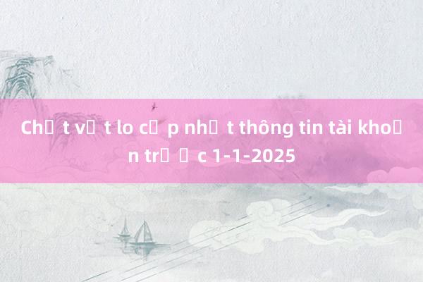 Chật vật lo cập nhật thông tin tài khoản trước 1-1-2025