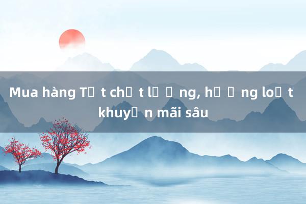 Mua hàng Tết chất lượng， hưởng loạt khuyến mãi sâu