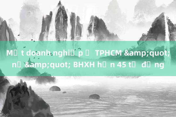 Một doanh nghiệp ở TPHCM &quot;nợ&quot; BHXH hơn 45 tỷ đồng