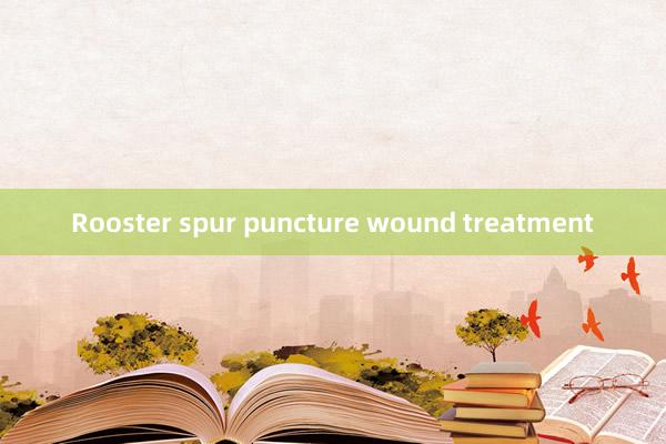 Rooster spur puncture wound treatment