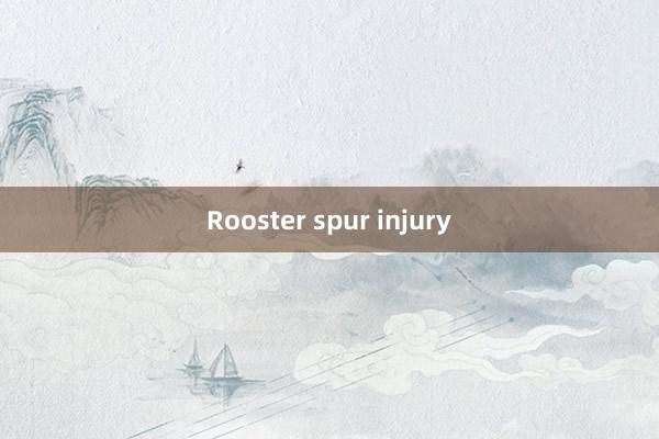 Rooster spur injury