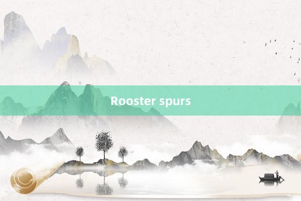 Rooster spurs