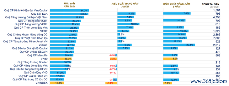 Nhóm quỹ cổ phiếu hiệu suất cao gấp 4 lần tiền gửi năm 2024, nhưng dài hạn gây bất ngờ - Ảnh 2.